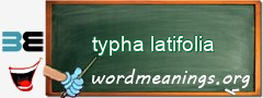 WordMeaning blackboard for typha latifolia